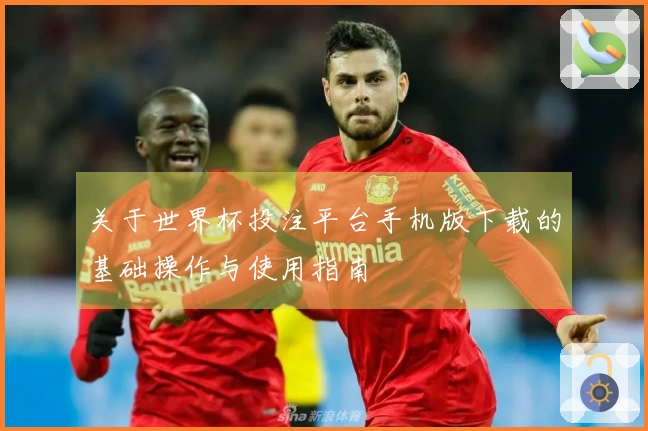 关于世界杯投注平台手机版下载的基础操作与使用指南