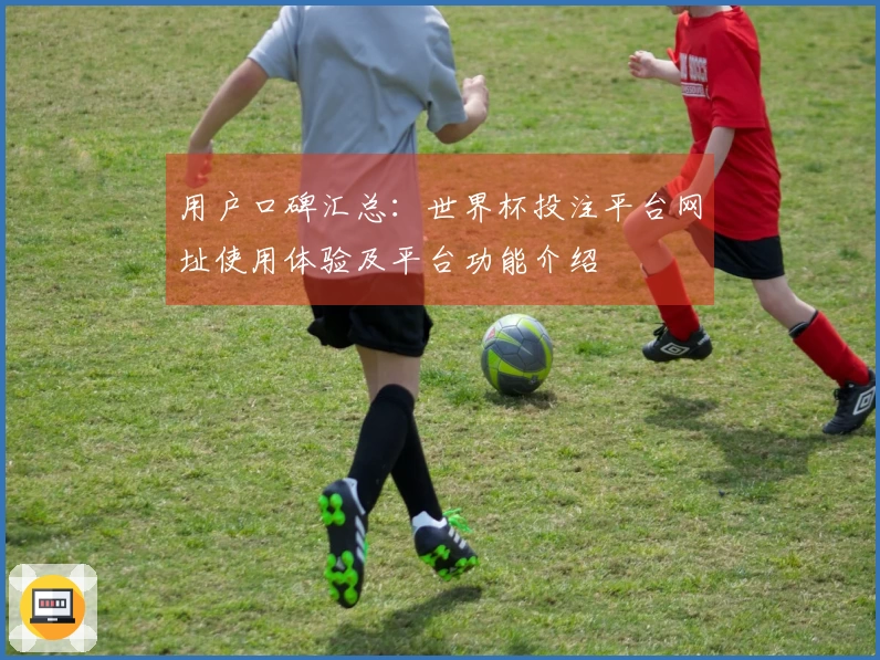 用户口碑汇总：世界杯投注平台网址使用体验及平台功能介绍