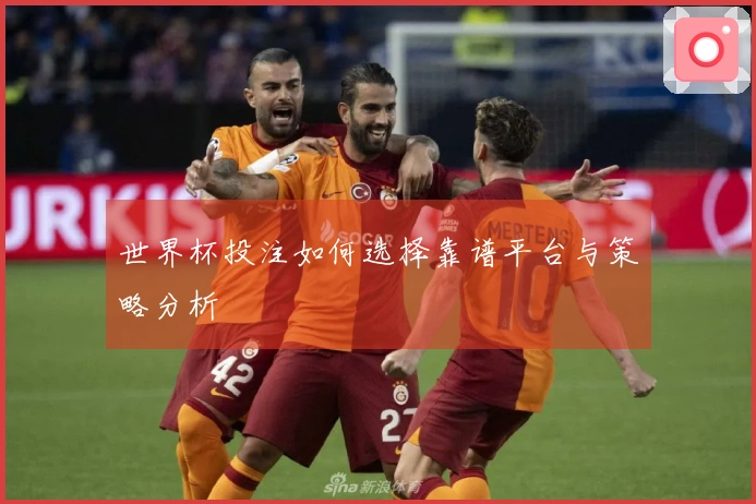 世界杯投注如何选择靠谱平台与策略分析