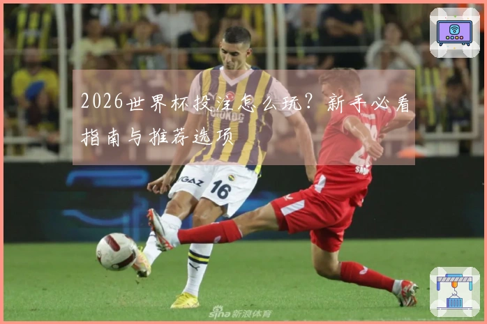2026世界杯投注怎么玩？新手必看指南与推荐选项
