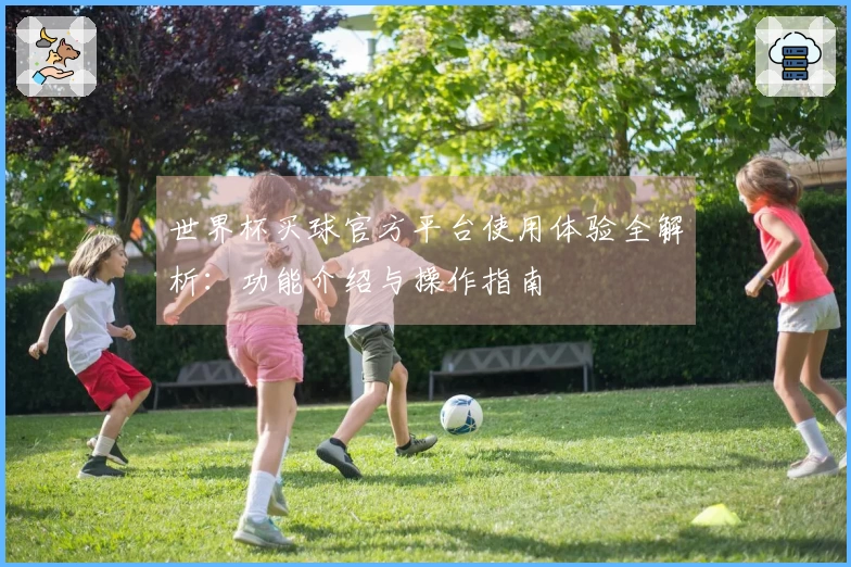 世界杯买球官方平台使用体验全解析:功能介绍与操作指南