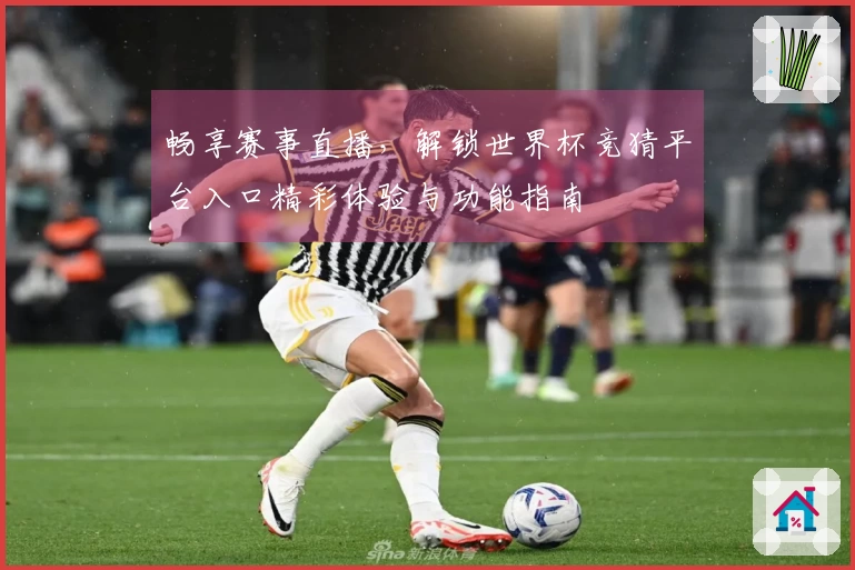 畅享赛事直播，解锁世界杯竞猜平台入口精彩体验与功能指南