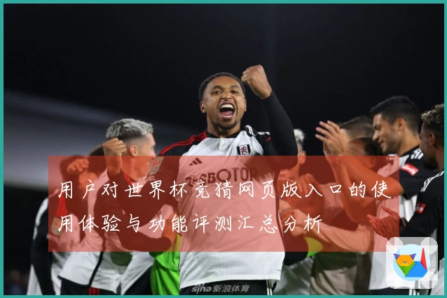 用户对世界杯竞猜网页版入口的使用体验与功能评测汇总分析