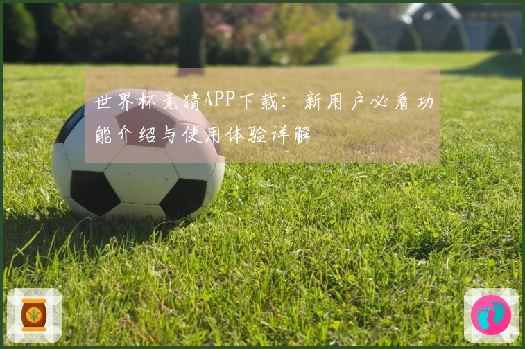 世界杯竞猜APP下载:新用户必看功能介绍与使用体验详解